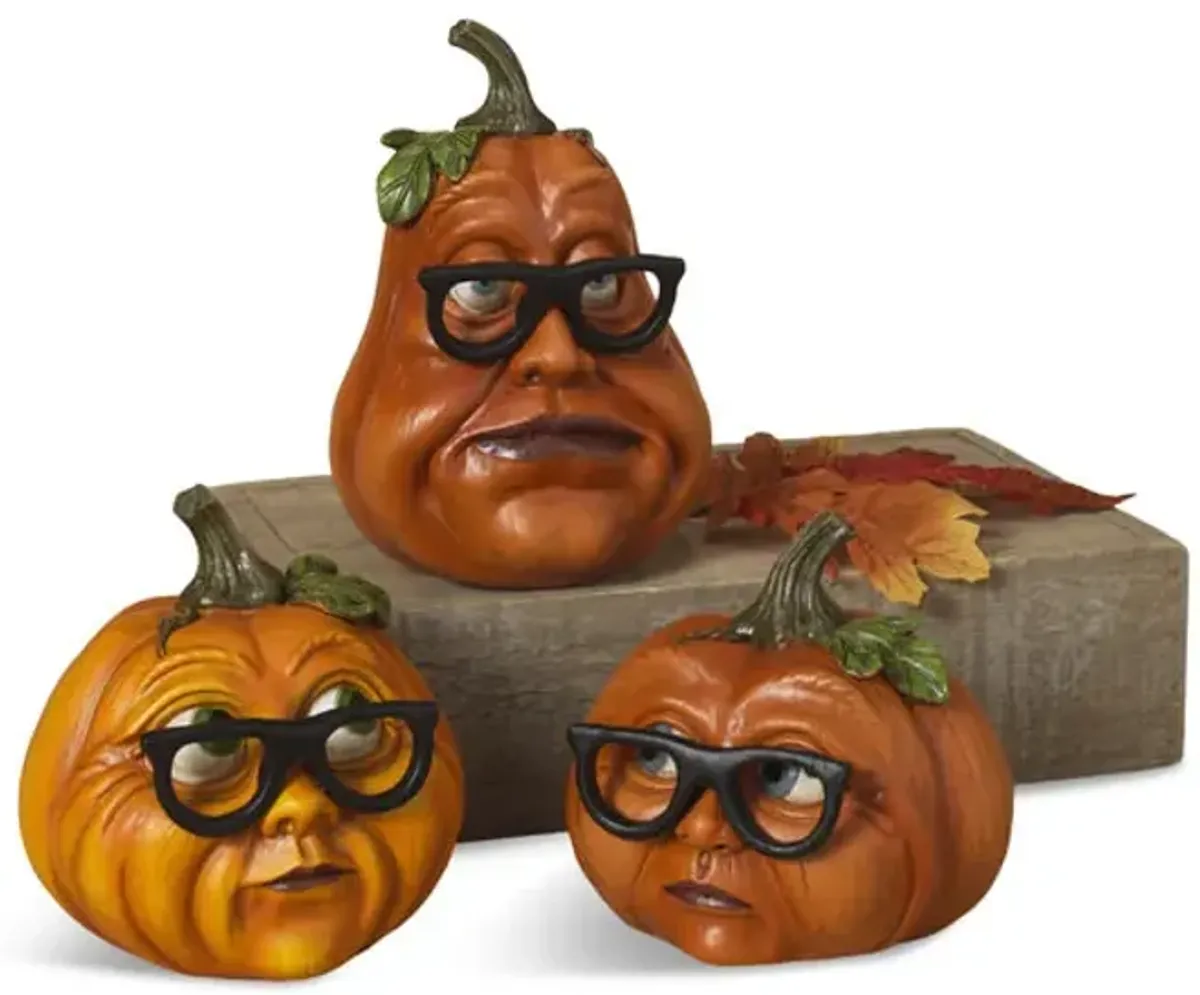 Pumpkin Head with Glasses