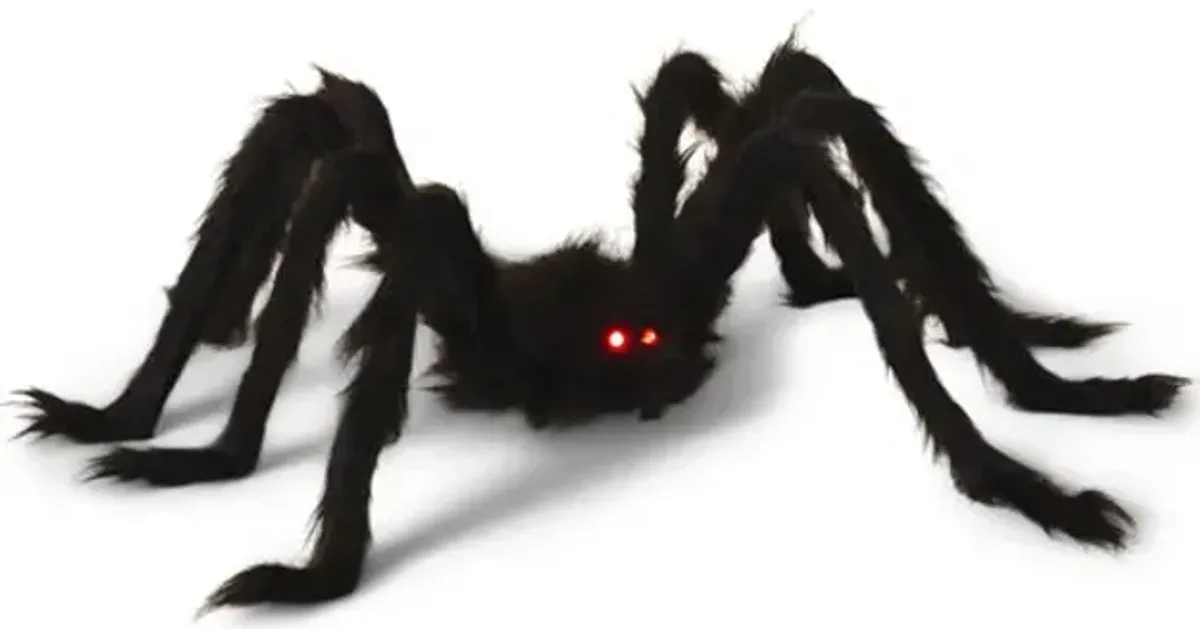 43  Spider With LED Eyes