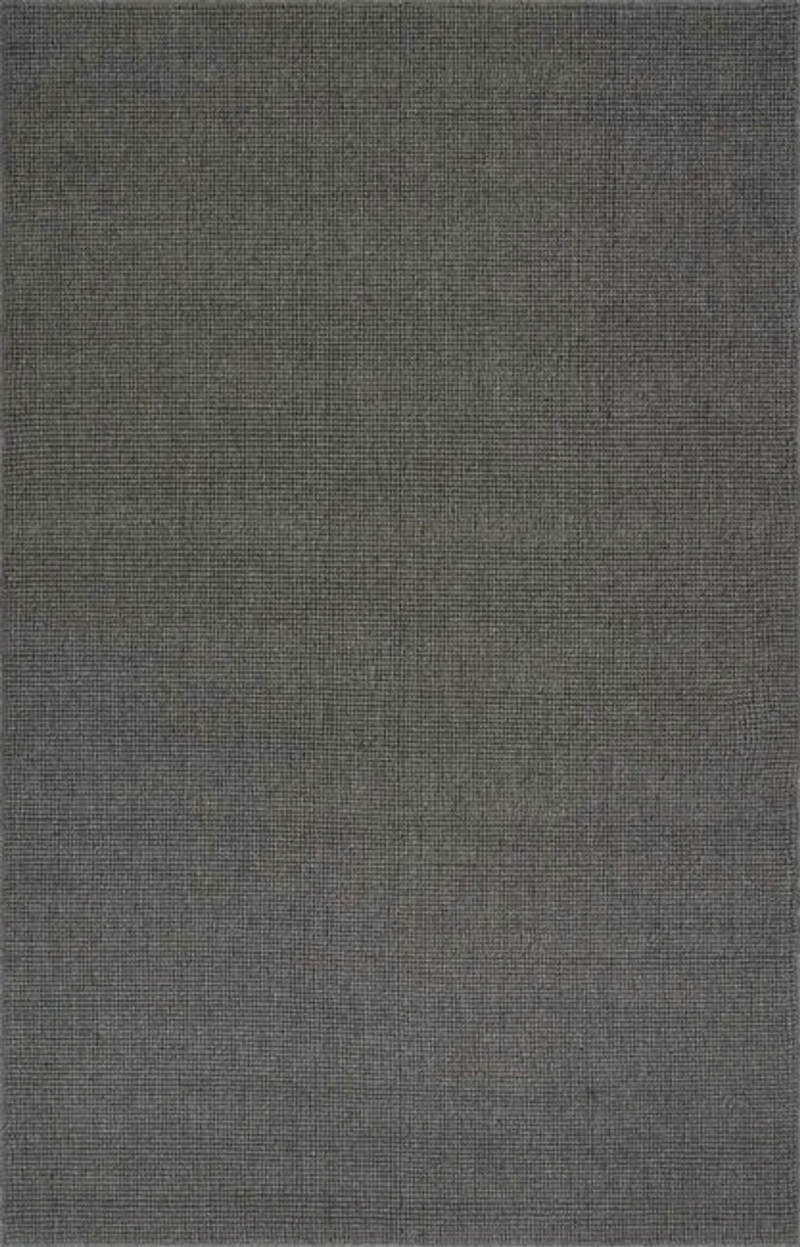 Monaco Ash 2 3  x 7 6  Area Rug