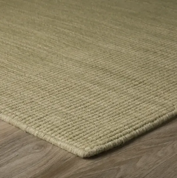 Monaco Aloe 2 3  X 3 0  Area Rug
