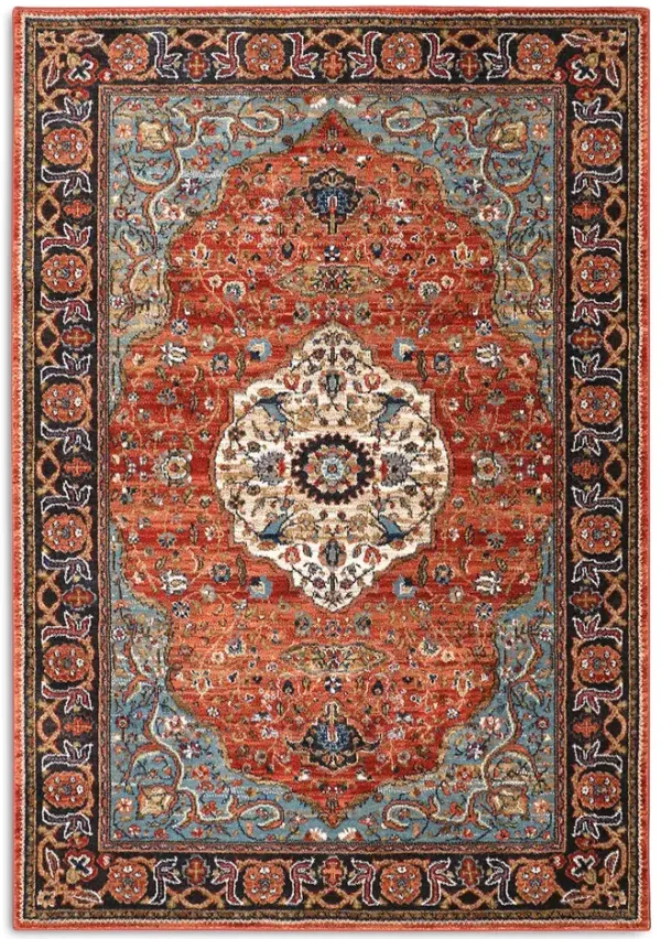 Spice Market Multi 3 6  x 5 6  Area Rug