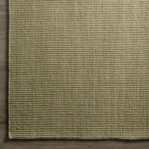 Monaco Aloe 3 6  X 5 6  Area Rug