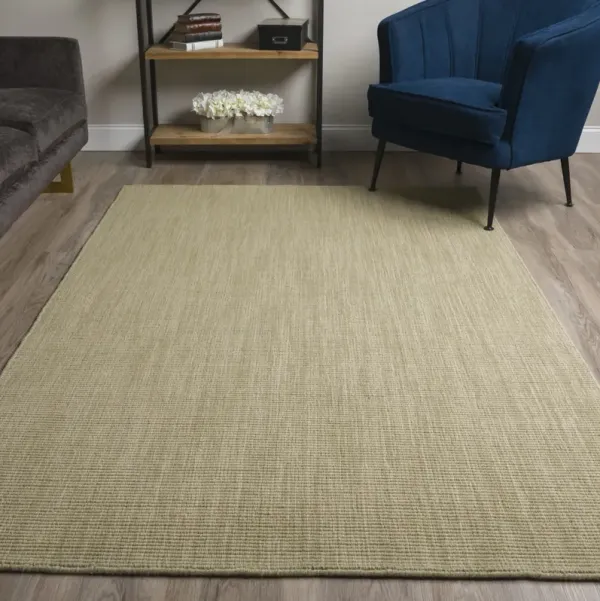 Monaco Aloe 3 6  X 5 6  Area Rug