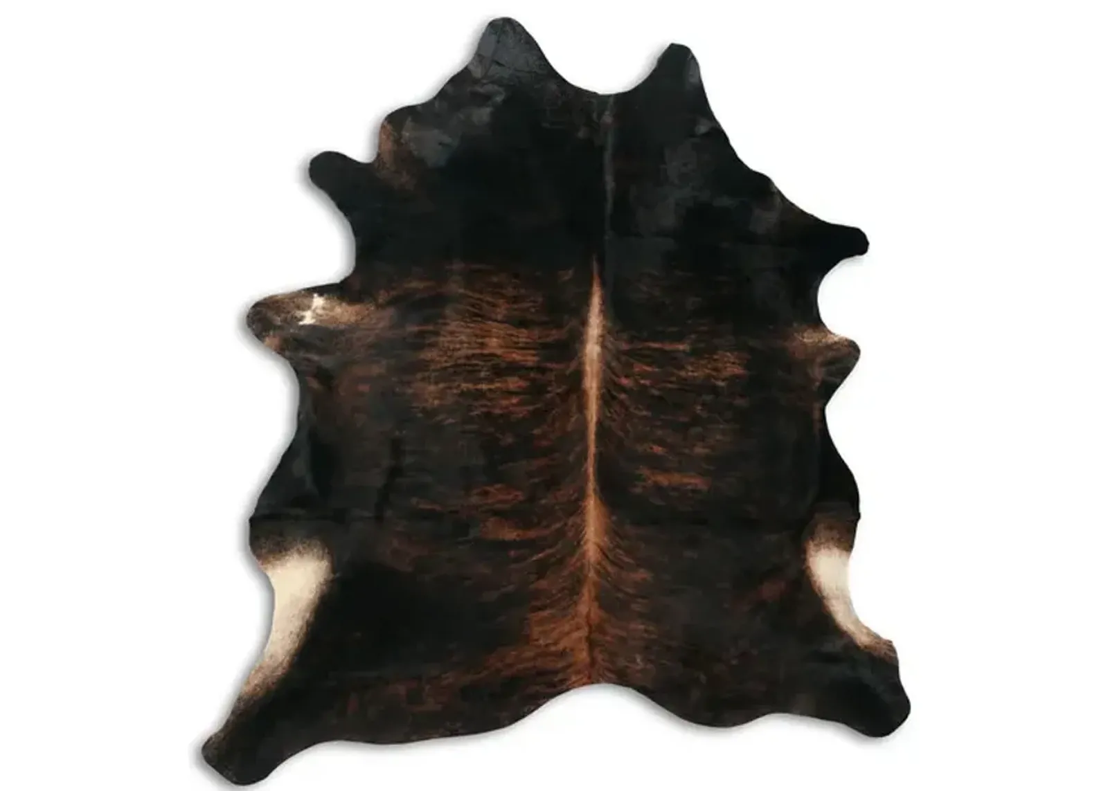 Premium Large Exotica Bridle Dark Cowhide