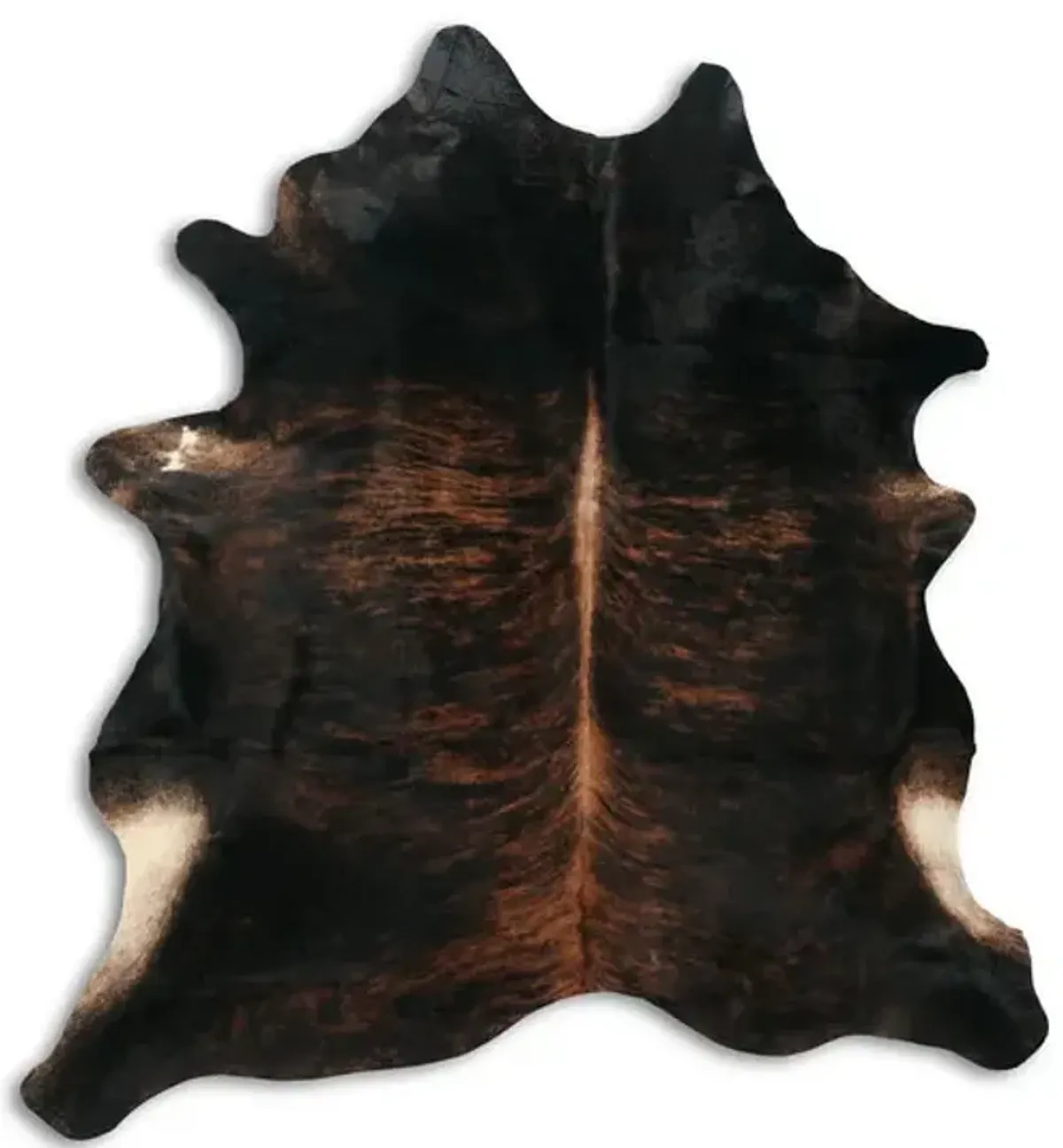 Premium Large Exotica Bridle Dark Cowhide