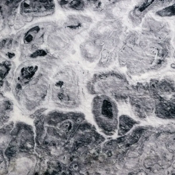 Kikiamo Marble 5 0  x 7 6  Area Rug