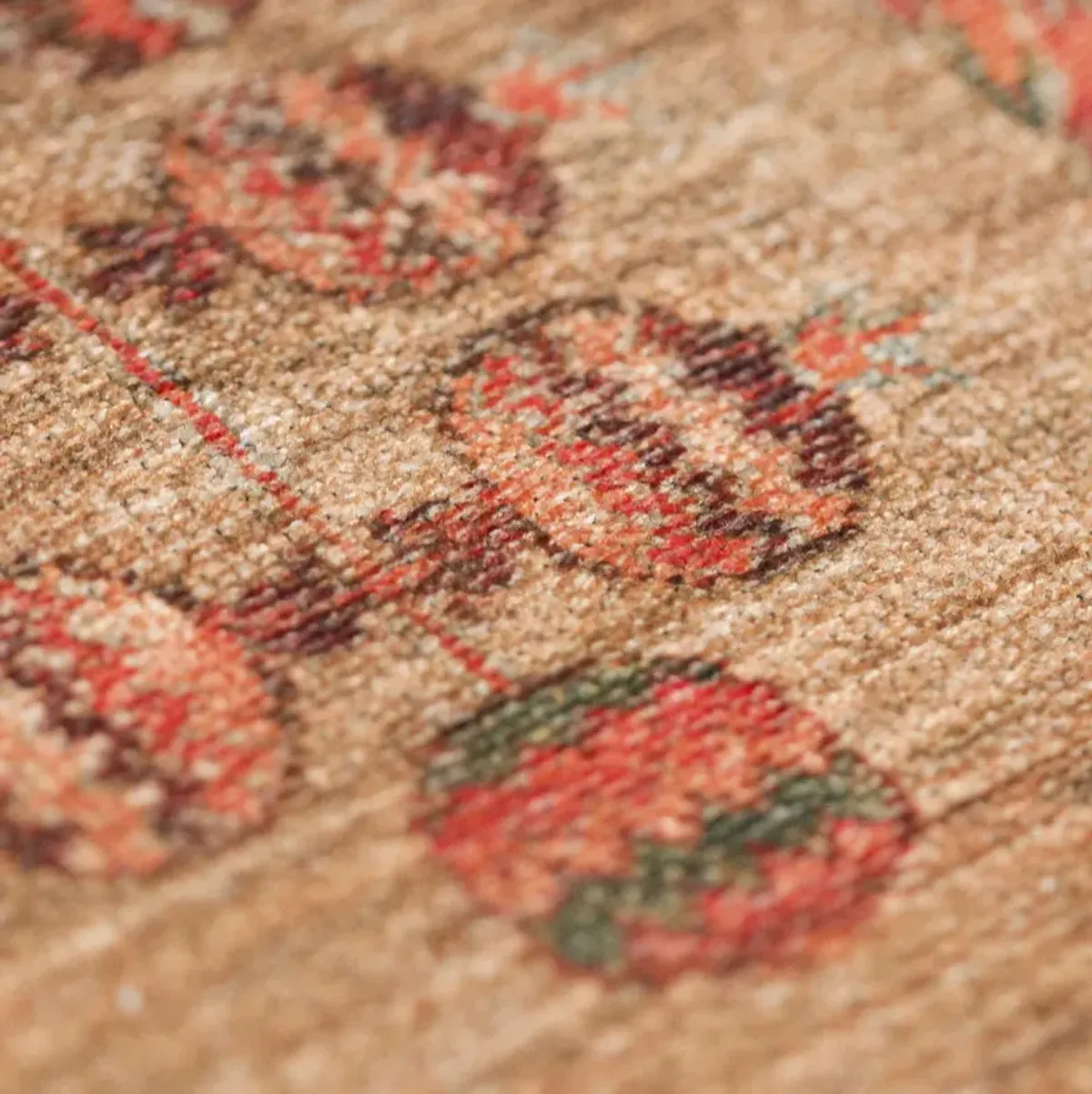 Kars Canyon 5 0  x 7 6  Area Rug