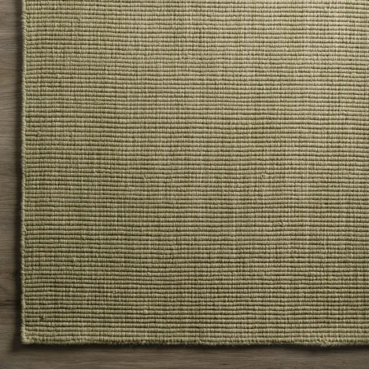 Monaco Aloe 5 0  X 7 6  Area Rug