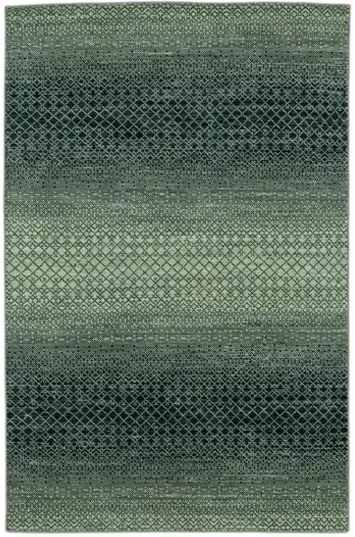 Rainbow Hand Knotted Area Rug - 5 6  X 8 6 