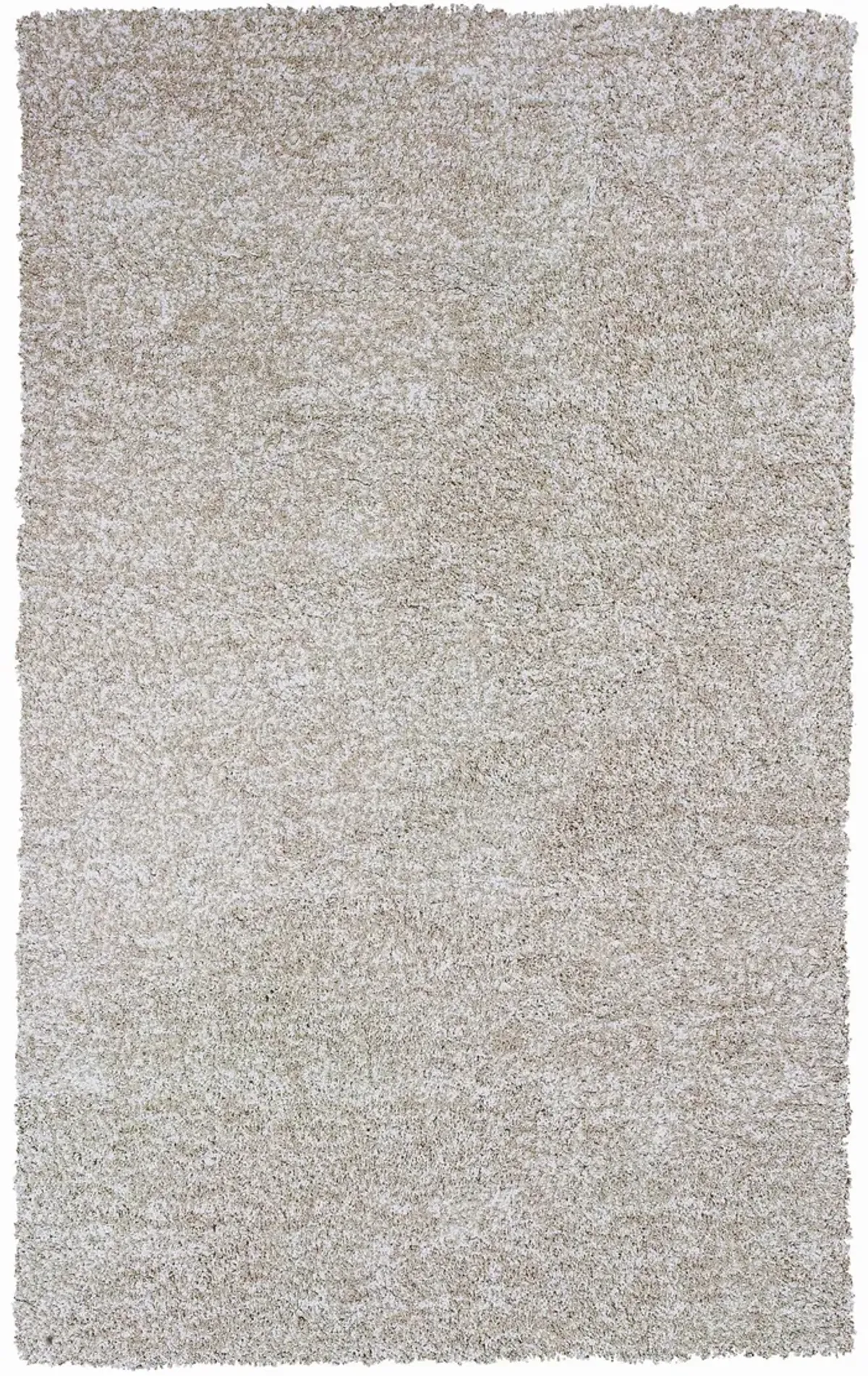 Bliss Shag Ivory Heather Area Rug - 5 0  x 7 0 