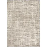 Nebulous Abstract 6 7  x 9 6   Area Rug