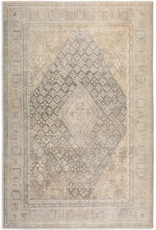 Kars Biscotti 8 0  x 10 0  Area Rug