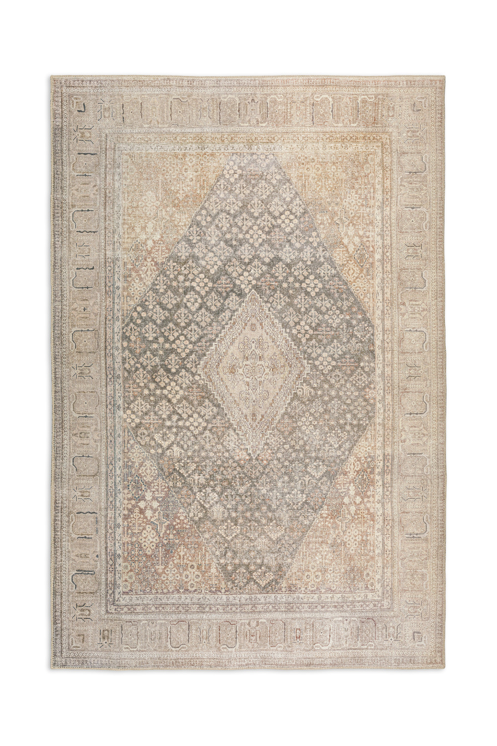 Kars Biscotti 8 0  x 10 0  Area Rug