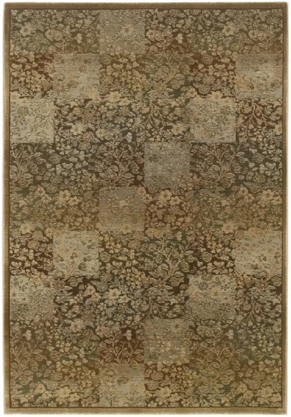  Generation Area Rug - 2 7  X 9 1   