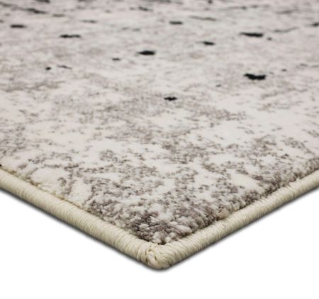 Epiphany Flux Screen Area Rug - 2 4  X 7 10  