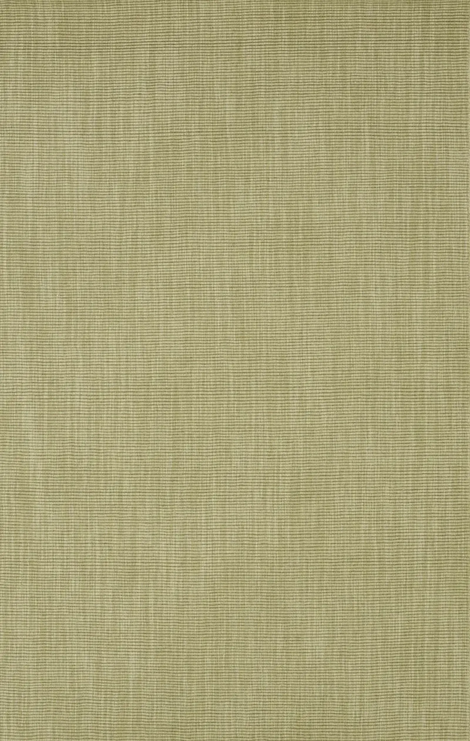 Monaco Aloe 2 3  X 7 6  Area Rug