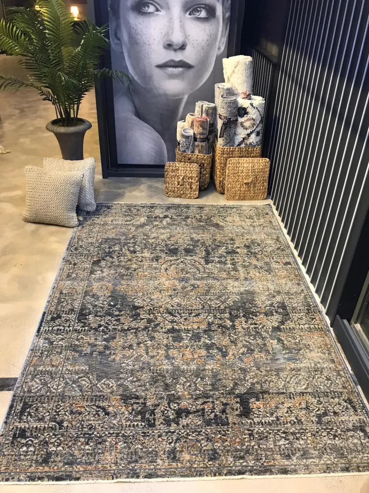 Amelia Area Rug - 3 0  X 10 0 