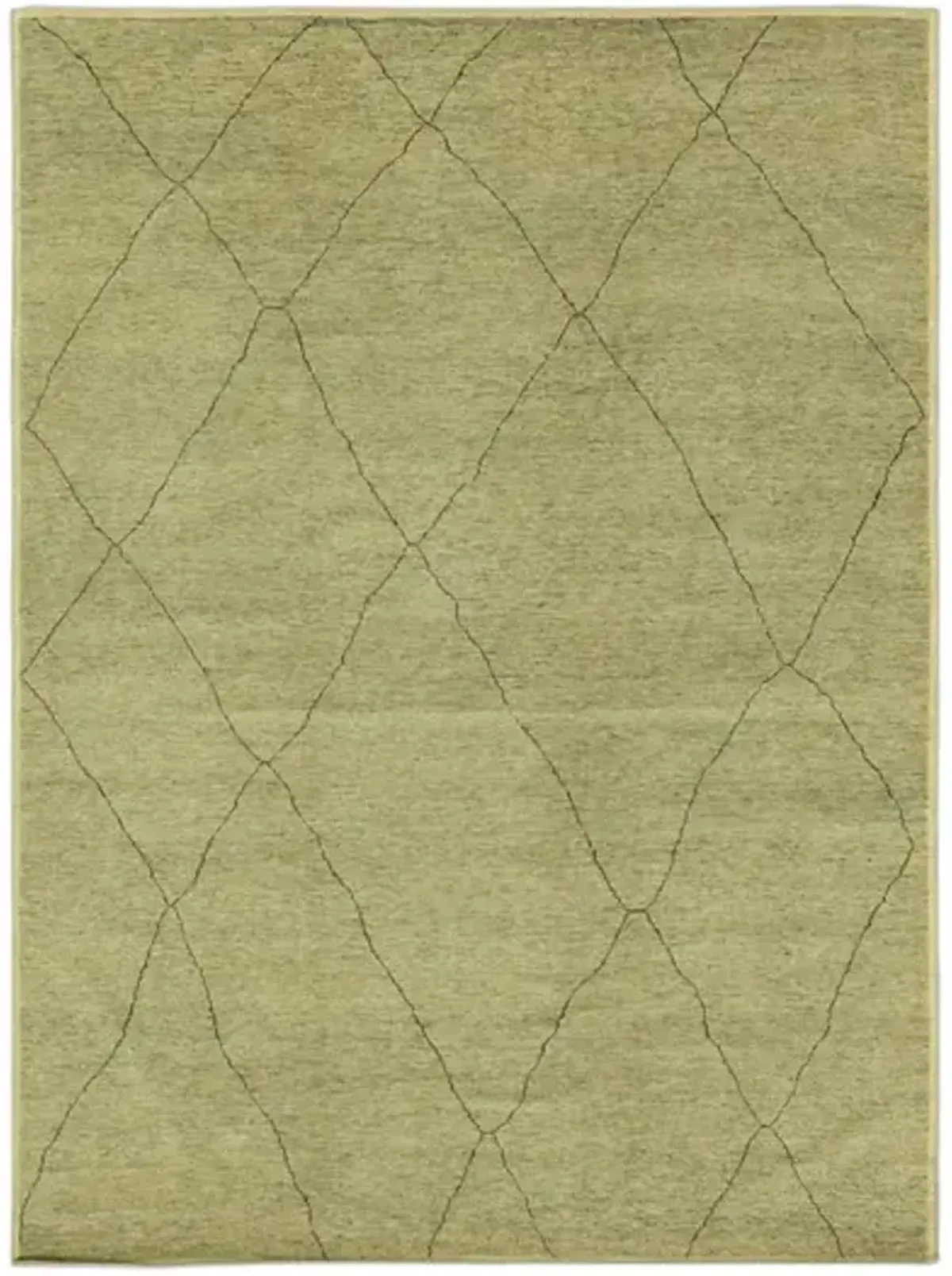 Hand Knotted Area Rug - 9 2  X 12 6 