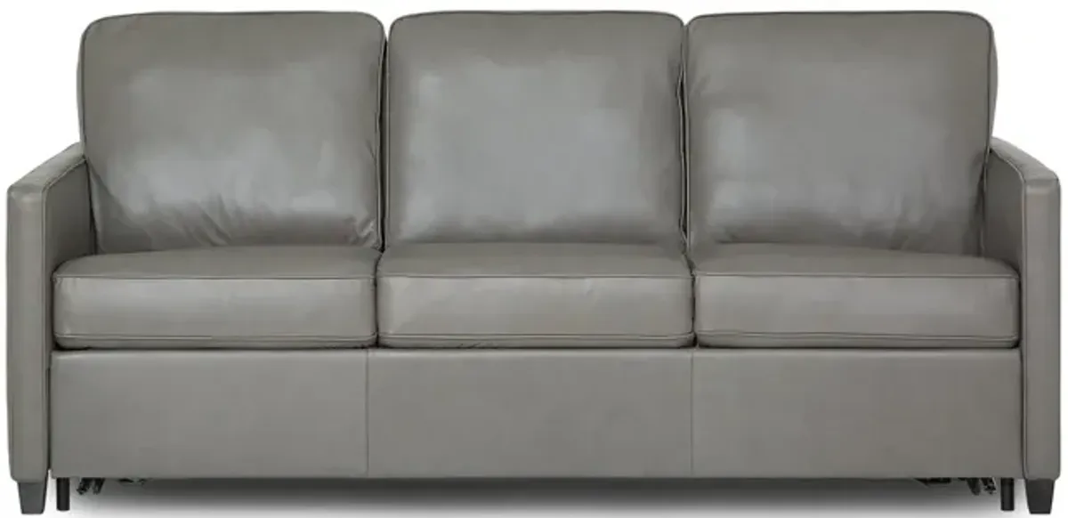 California Leather Queen Sleeper Sofa