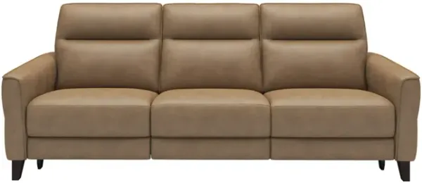 Bohan Leather Power Reclining Sofa 