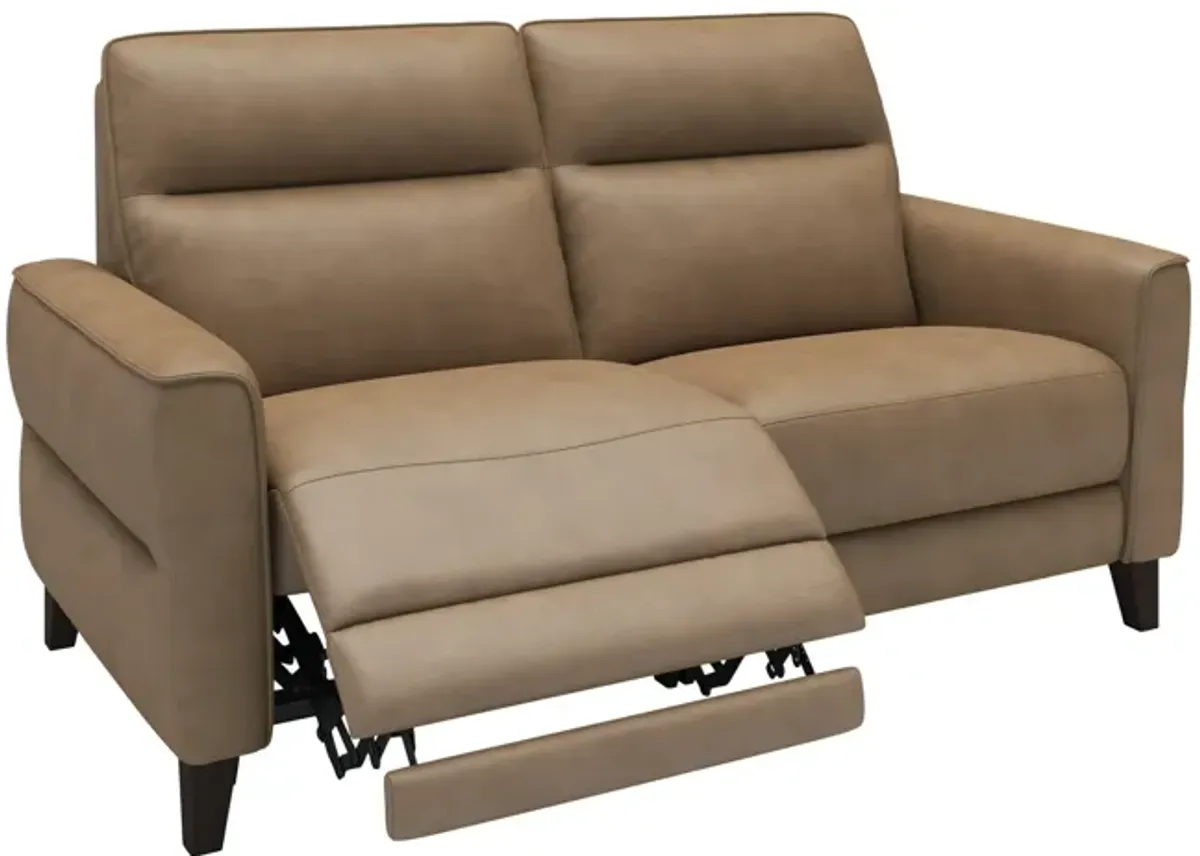 Bohan Leather Power Reclining Loveseat