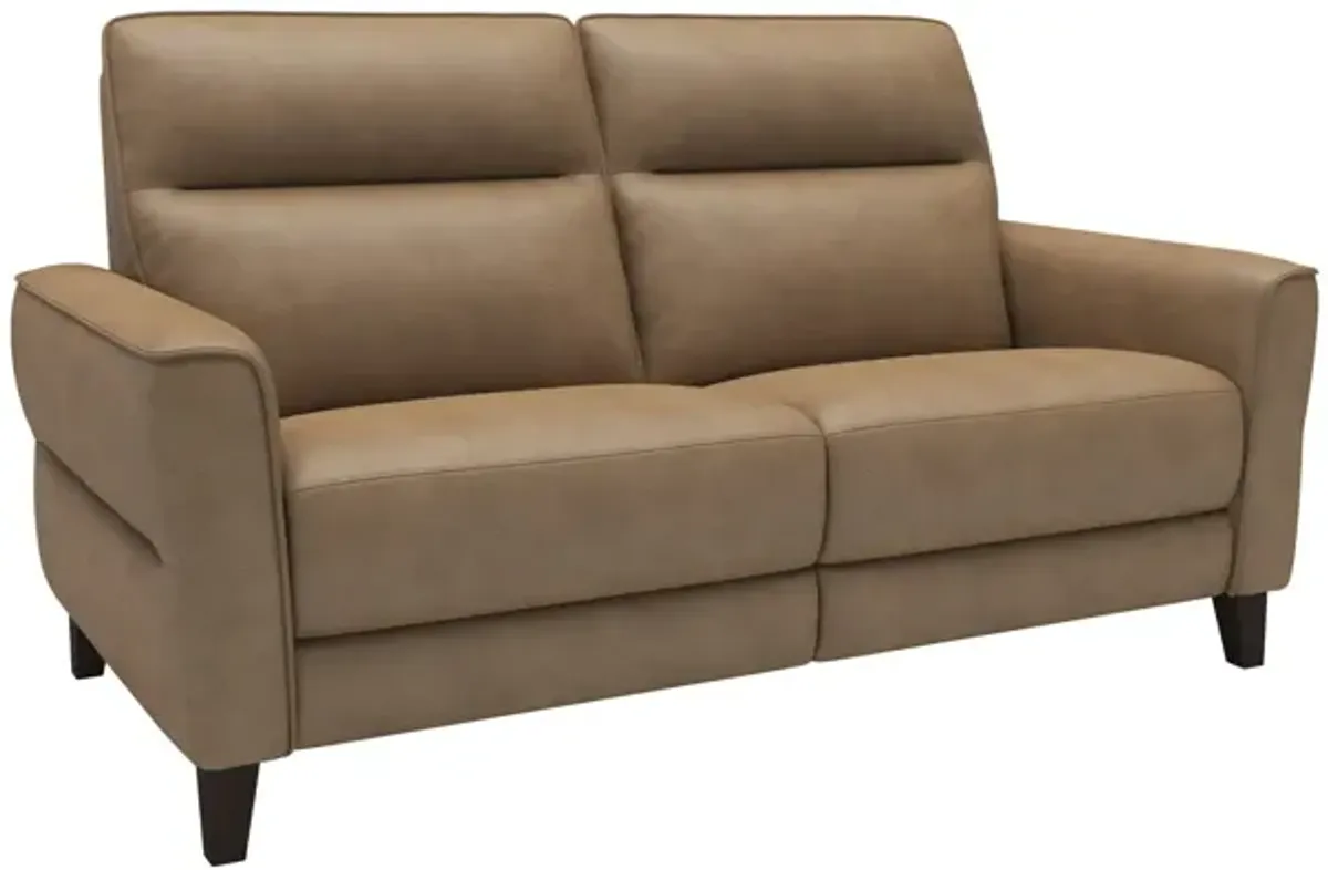 Bohan Leather Power Reclining Loveseat