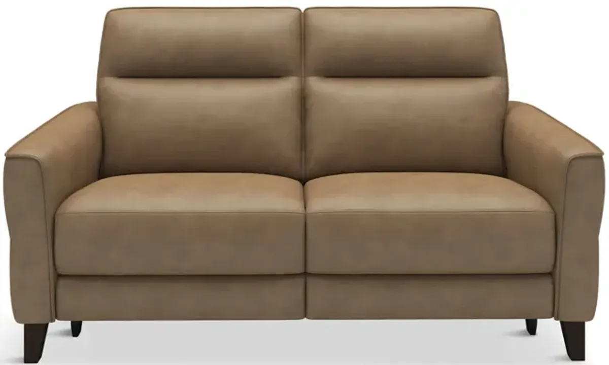 Bohan Leather Power Reclining Loveseat