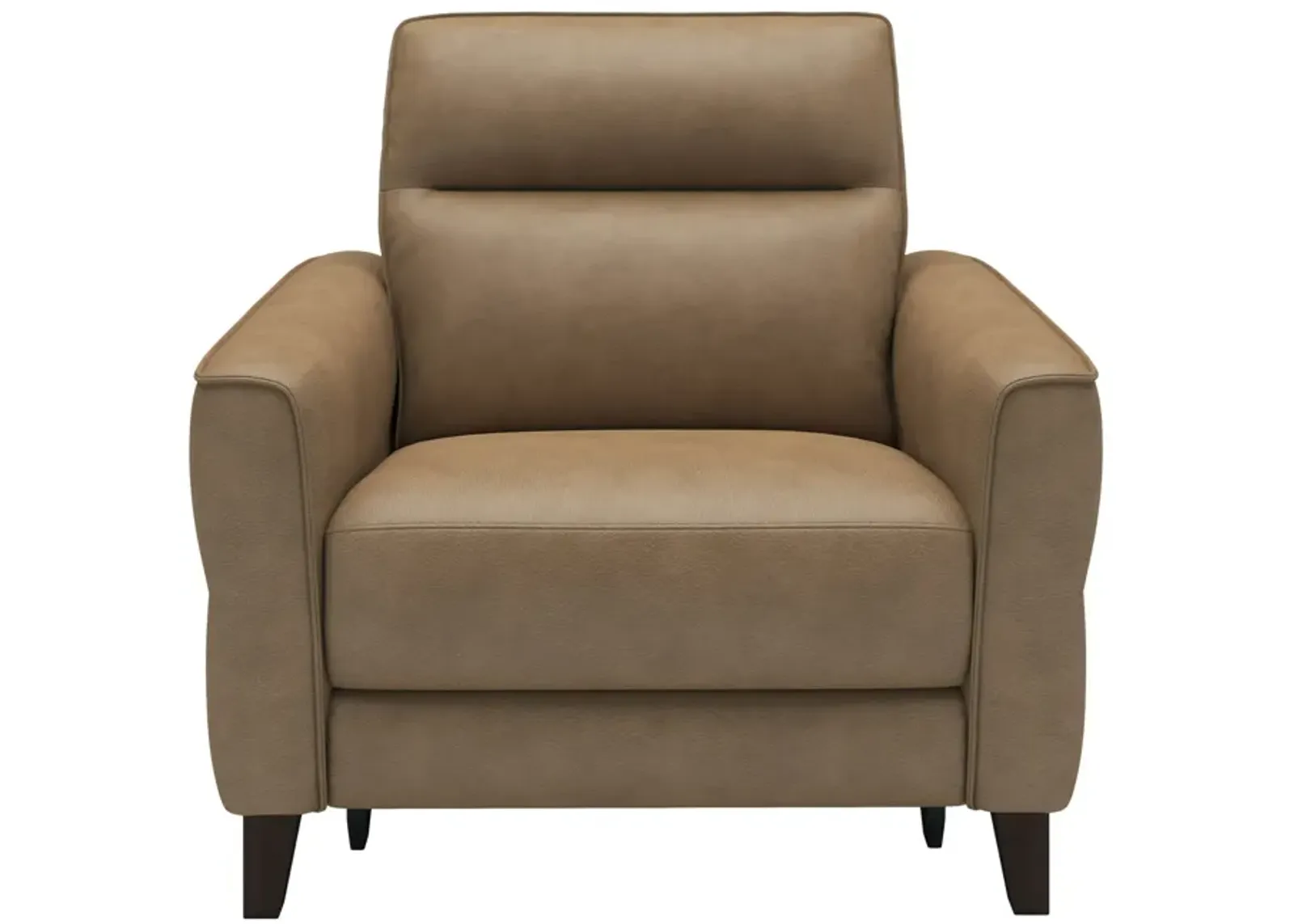 Bohan Leather Power Recliner