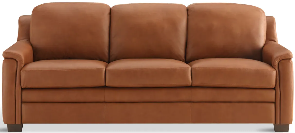Desi Leather Sofa