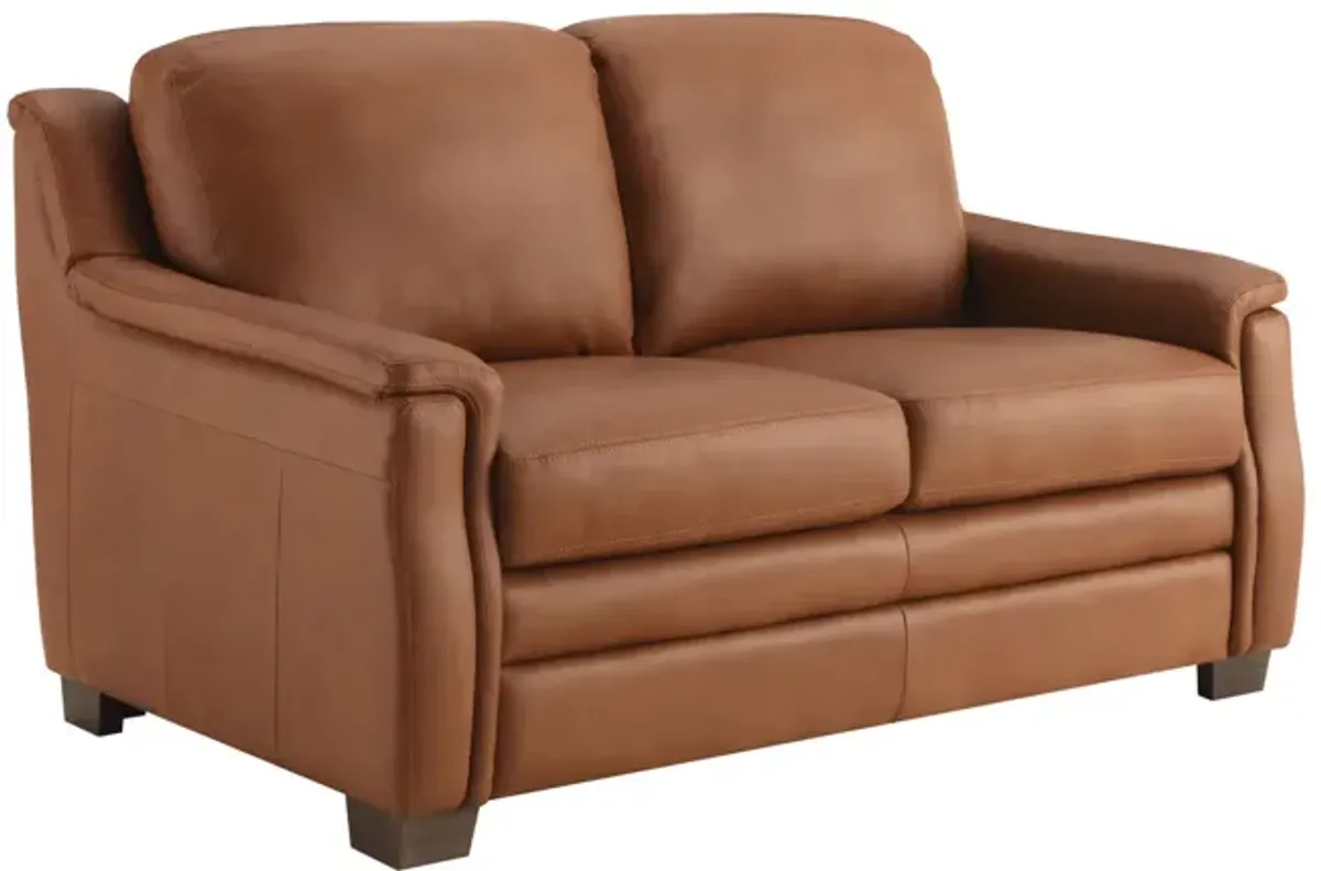 Desi Leather Loveseat