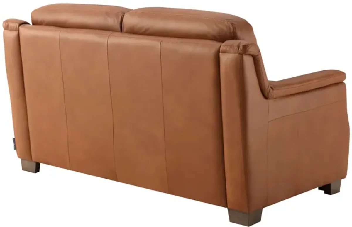 Desi Leather Loveseat