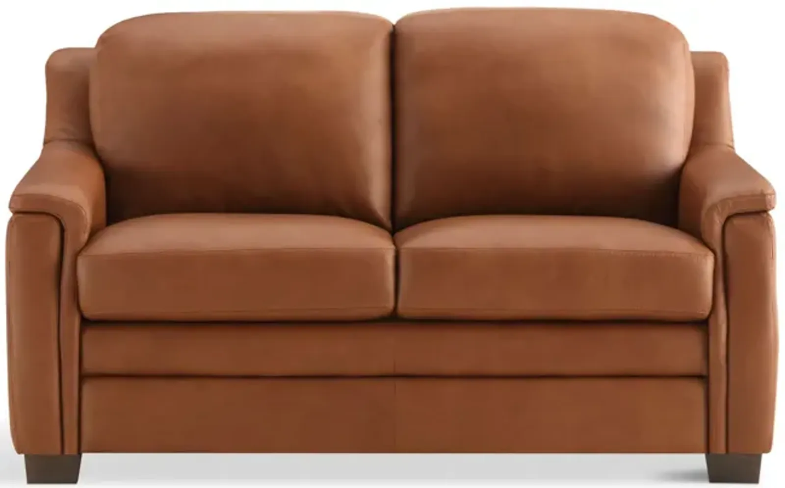 Desi Leather Loveseat