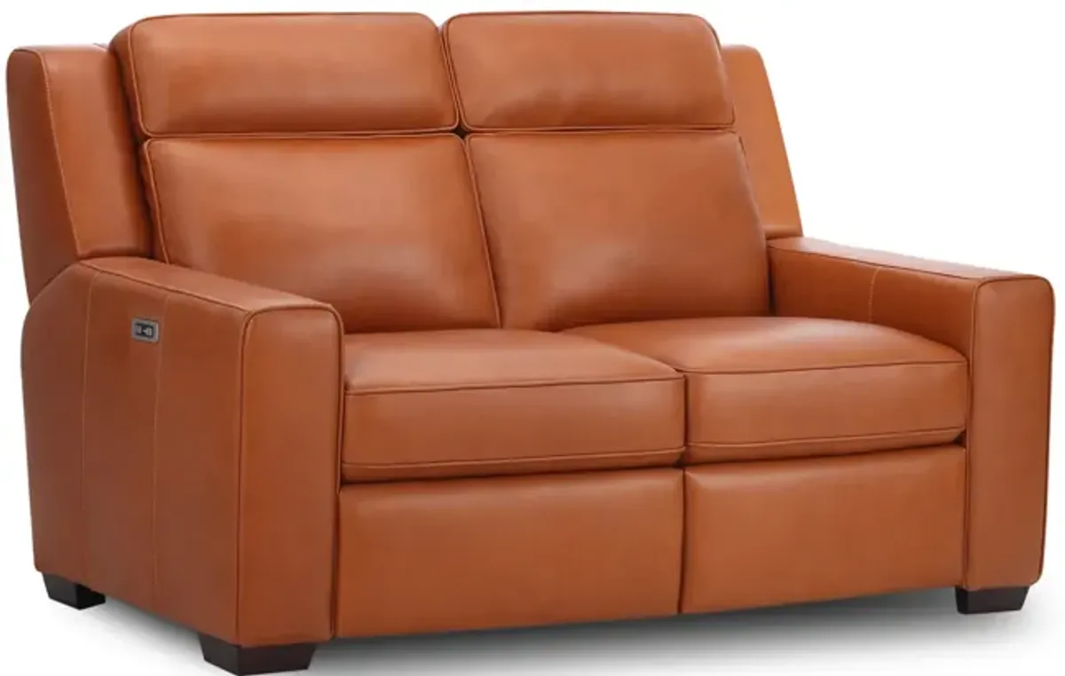 Barton Leather Power Reclining Loveseat