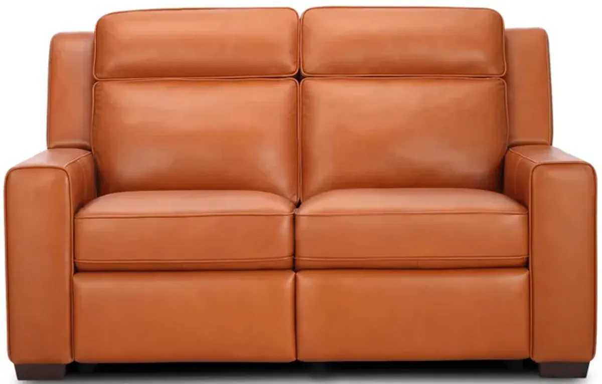 Barton Leather Power Reclining Loveseat