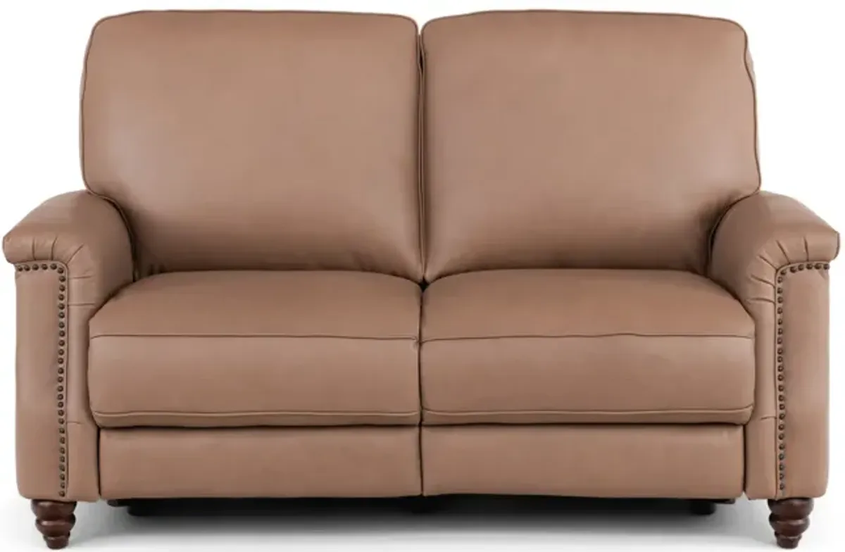 Warren Leather Recliner Loveseat