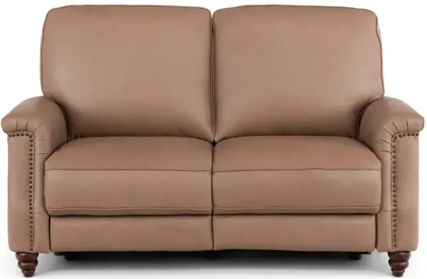 Warren Leather Recliner Loveseat