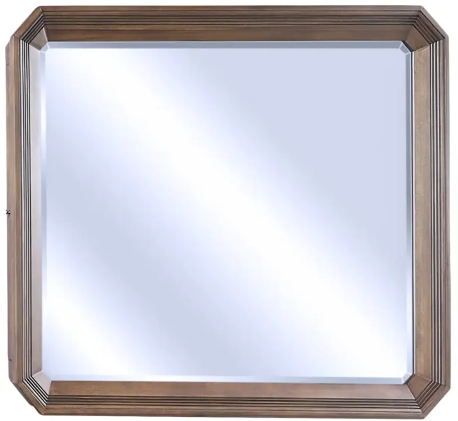 Trenton Mirror With Jewelry Storage