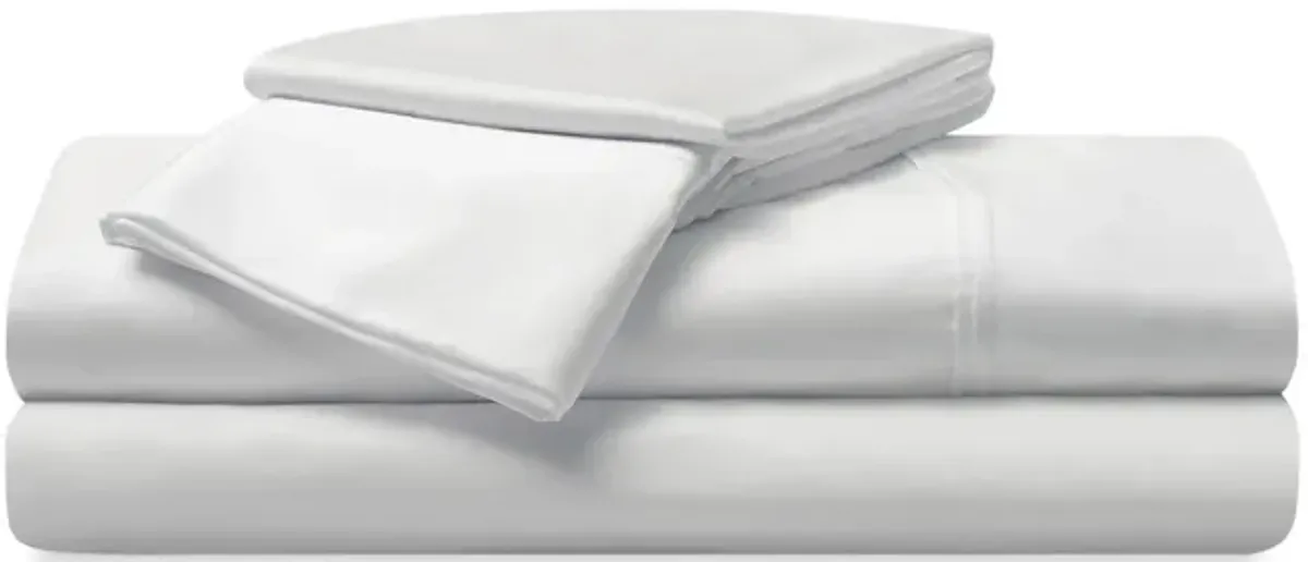 Dri-Tec Twin   Twin XL Sheet Set - Bright White