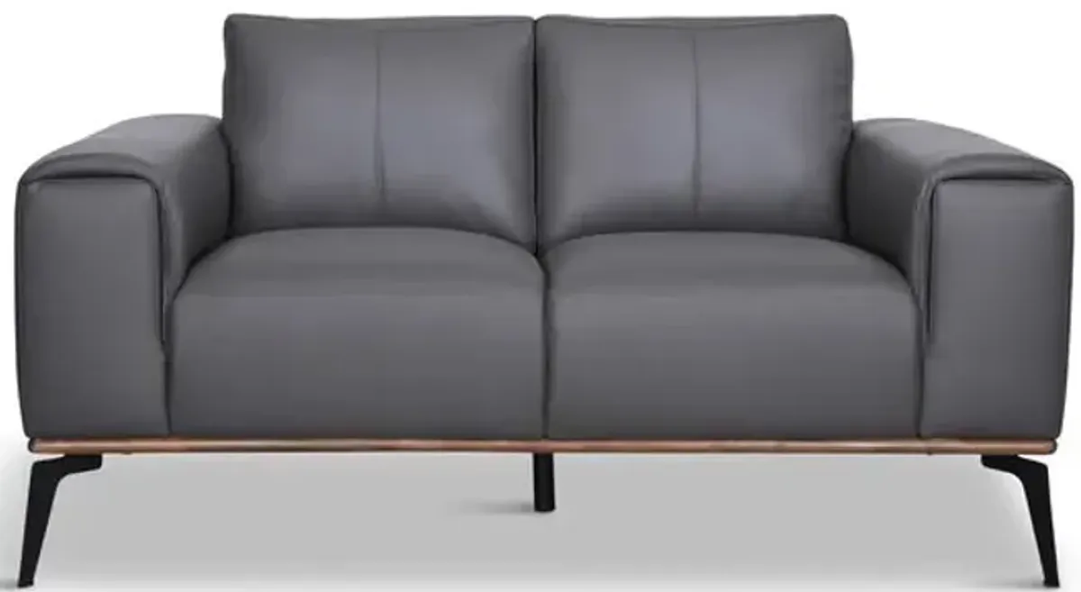 Stryde Leather Loveseat