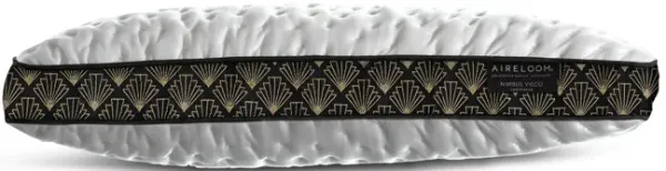 Aspire Nimbus Visco Standard Pillow