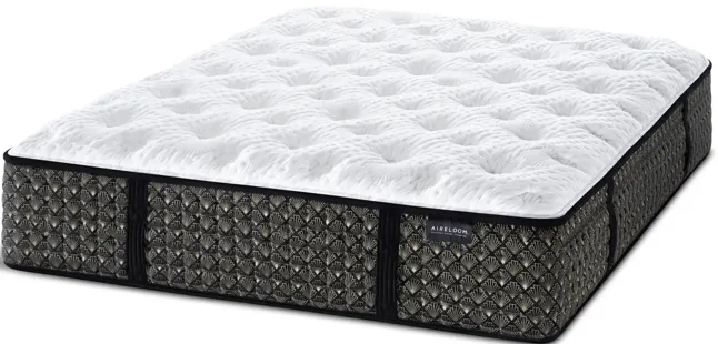 Streamline Plush M1 Queen Mattress