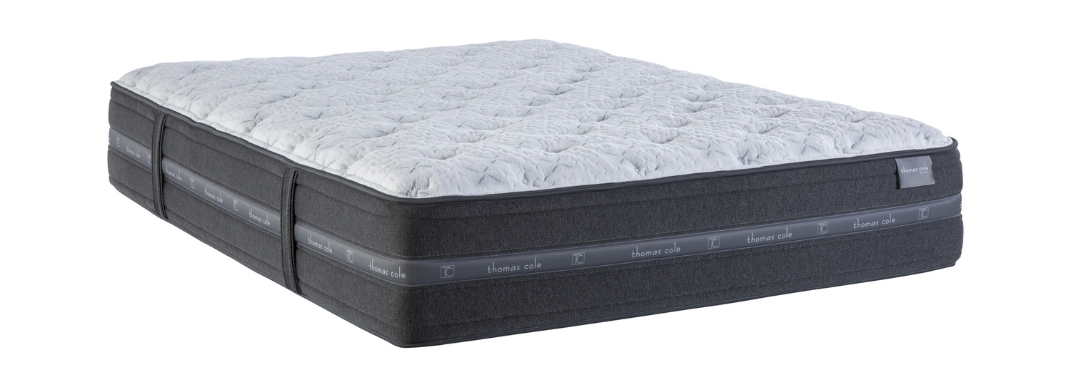 Jenna Plush Queen Mattress