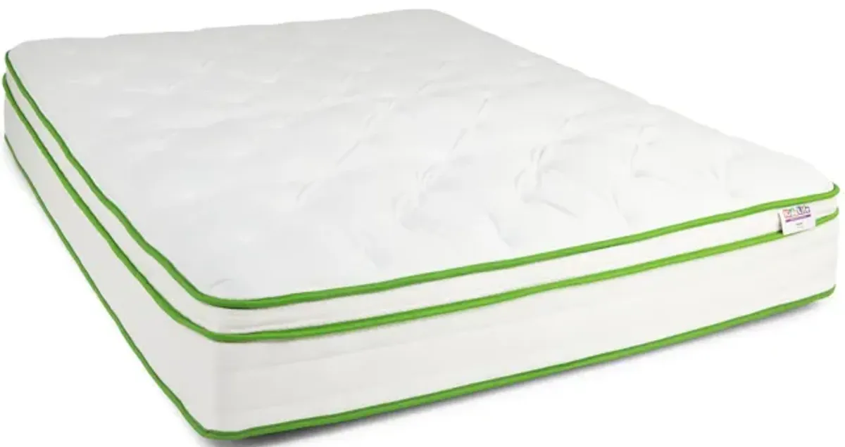 Kids Life Orion Euro Top Queen Mattress