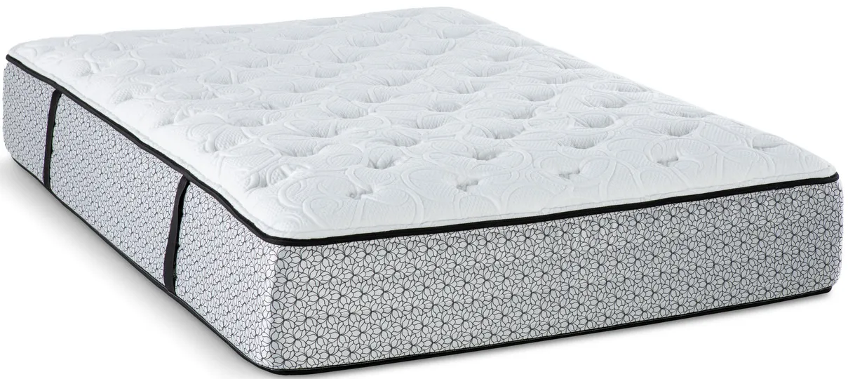 Eden Plush Twin XL Mattress