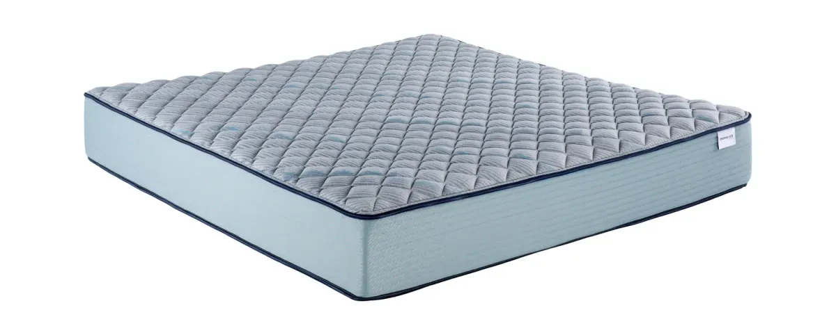 Invigorate Firm Twin Mattress