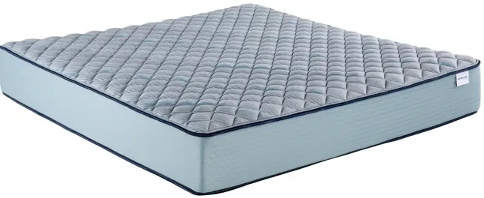 Invigorate Firm Twin XL Mattress