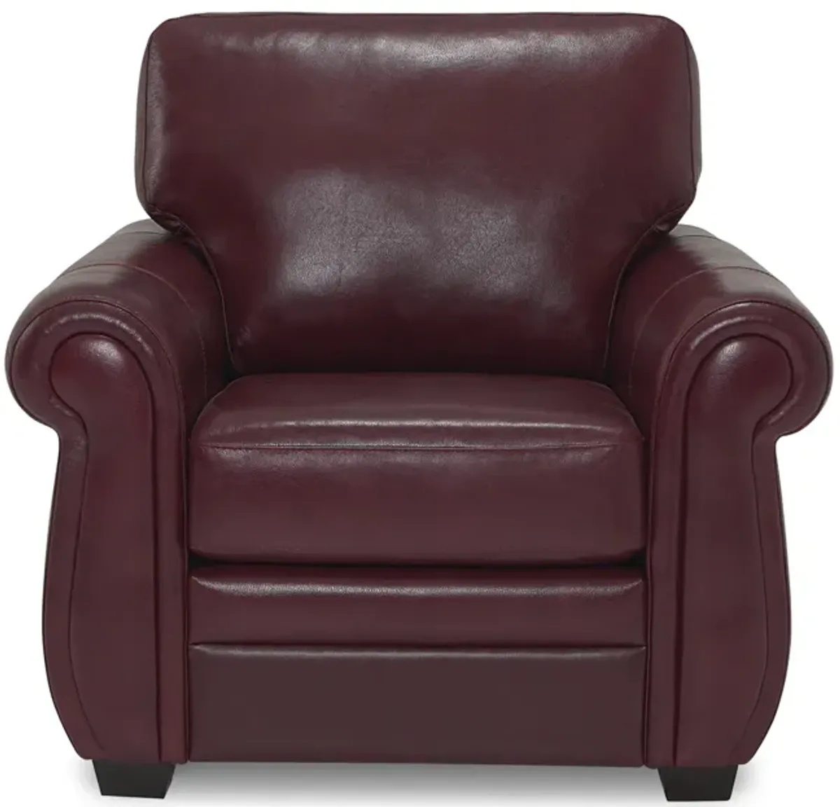 Anza Leather Chair - Garnet