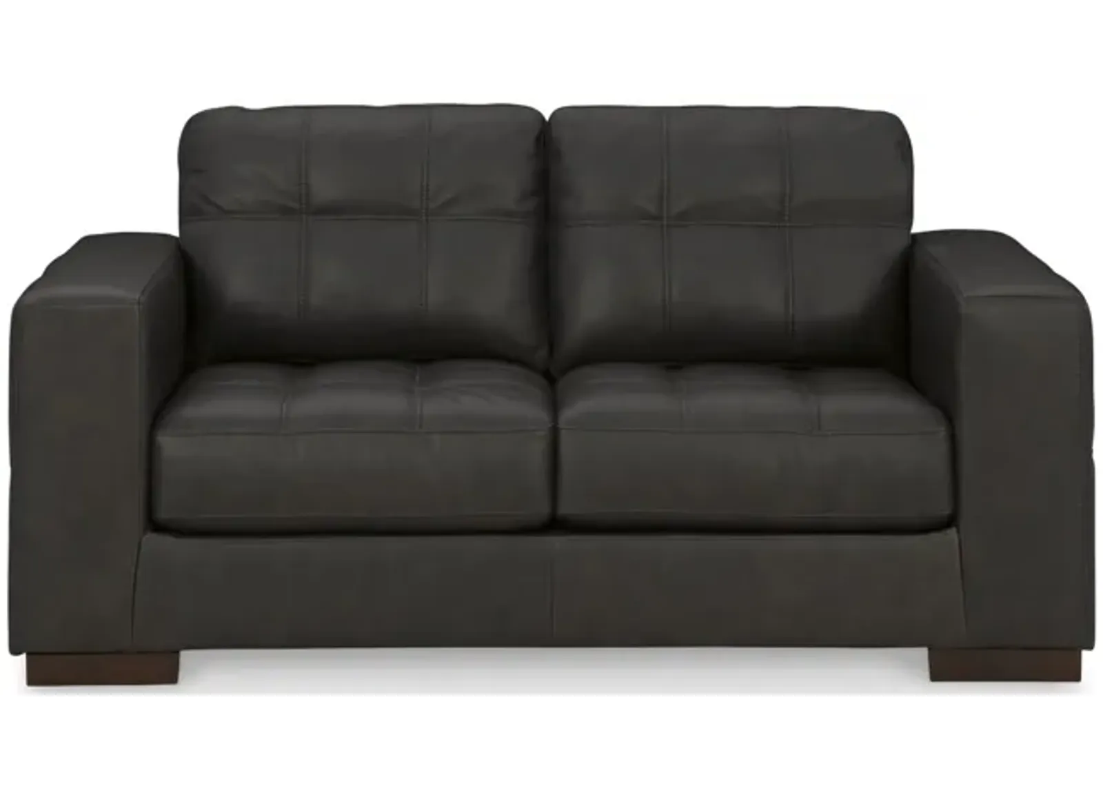 Tiana Leather Loveseat