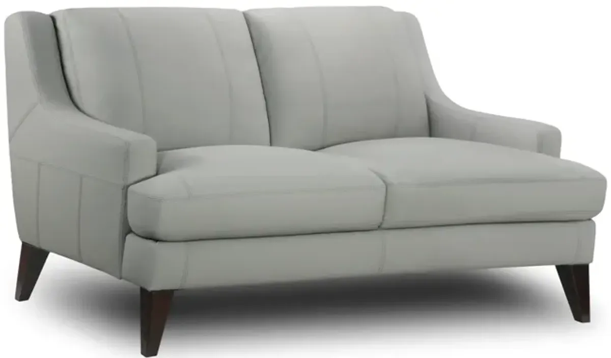 Juneau Leather Loveseat