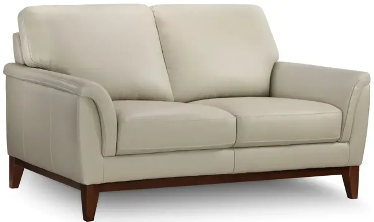 Haines Leather Loveseat